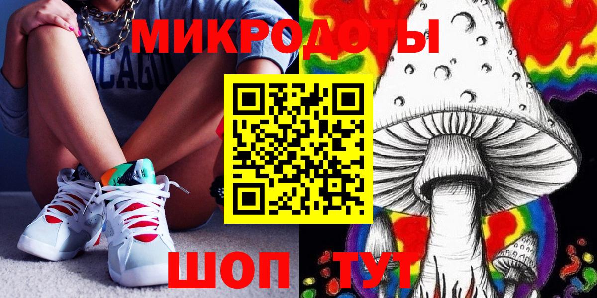 Псилоцибиновые грибы Cubensis Железногорск