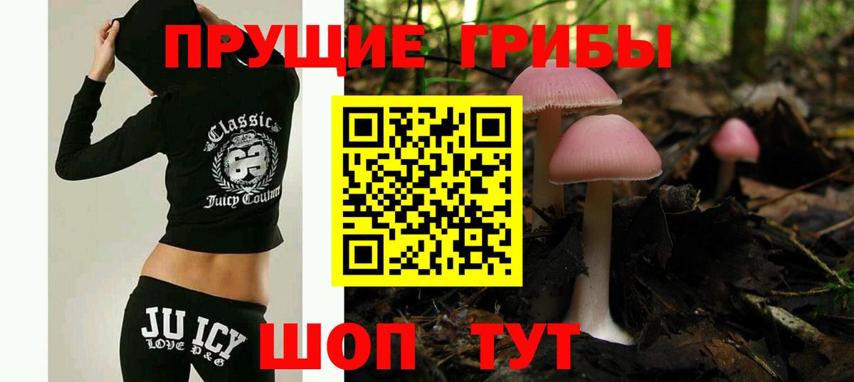 купить наркотики цена  Вход с VPN  Железногорск  Галлюциногенные грибы прущие грибы  Галлюциногенные грибы Magic Shrooms 
